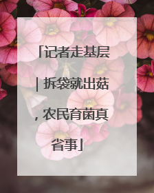 记者走基层｜拆袋就出菇，农民育菌真省事