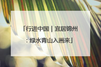 行进中国｜宜居锦州：绿水青山入画来