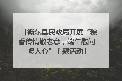衡东县民政局开展“粽香传情敬老意，端午慰问暖人心”主题活动