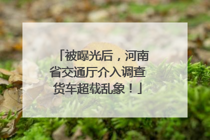 被曝光后，河南省交通厅介入调查货车超载乱象！
