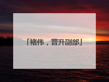 褚伟，晋升副部