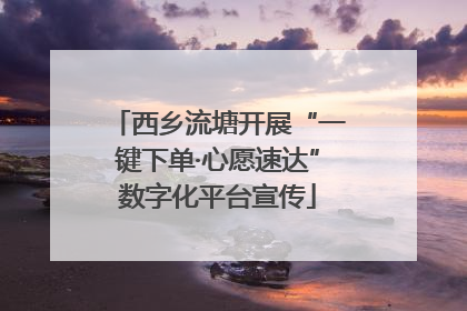 西乡流塘开展“一键下单·心愿速达”数字化平台宣传