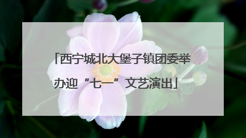 西宁城北大堡子镇团委举办迎“七一”文艺演出