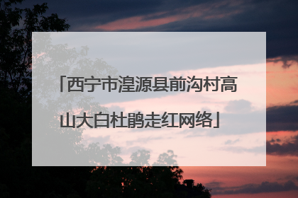 西宁市湟源县前沟村高山大白杜鹃走红网络