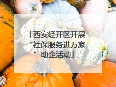 西安经开区开展“社保服务进万家”助企活动