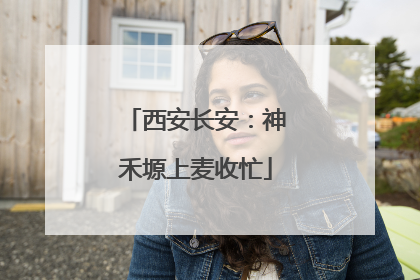 西安长安：神禾塬上麦收忙