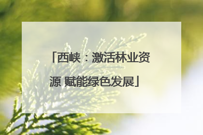 西峡：激活林业资源 赋能绿色发展