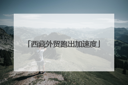 西藏外贸跑出加速度