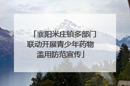 襄阳米庄镇多部门联动开展青少年药物滥用防范宣传