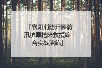 襄阳消防开展防汛抗旱抢险救援综合实战演练