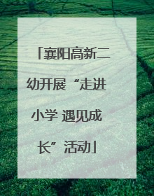 襄阳高新二幼开展“走进小学 遇见成长”活动