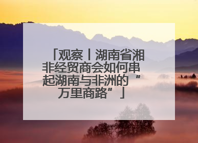 观察丨湖南省湘非经贸商会如何串起湖南与非洲的“万里商路”