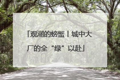 观潮的螃蟹丨城中大厂的全“绿”以赴