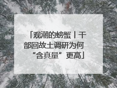 观潮的螃蟹丨干部回故土调研为何“含真量”更高