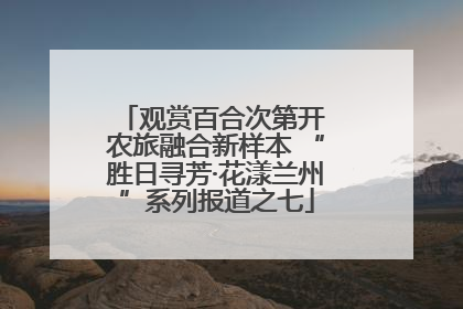 观赏百合次第开 农旅融合新样本 “胜日寻芳·花漾兰州”系列报道之七