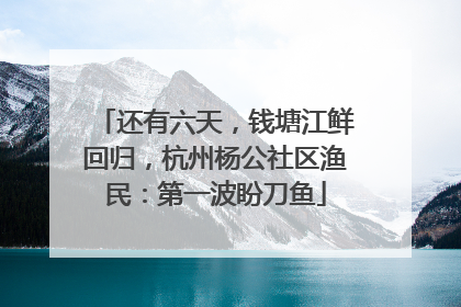 还有六天，钱塘江鲜回归，杭州杨公社区渔民：第一波盼刀鱼