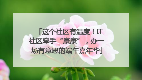 这个社区有温度！IT社区牵手“康康”，办一场有意思的端午嘉年华