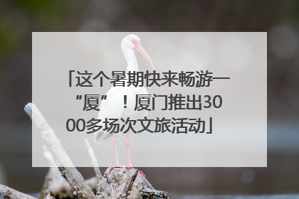 这个暑期快来畅游一“厦”！厦门推出3000多场次文旅活动