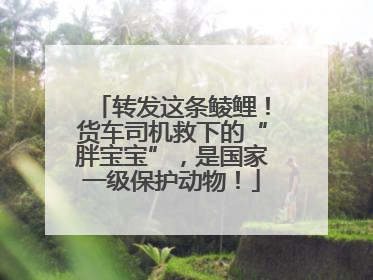 转发这条鲮鲤！货车司机救下的“胖宝宝”，是国家一级保护动物！