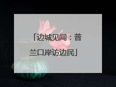 边城见闻：普兰口岸访边民
