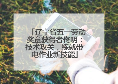 辽宁省五一劳动奖章获得者佟明：技术攻关，练就带电作业新技能