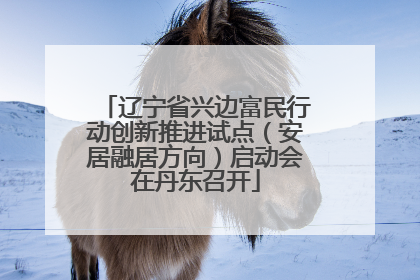 辽宁省兴边富民行动创新推进试点（安居融居方向）启动会在丹东召开