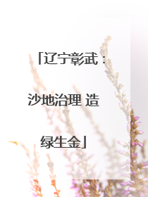 辽宁彰武：沙地治理 造绿生金