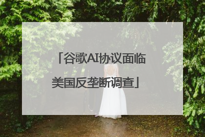 谷歌AI协议面临美国反垄断调查