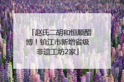 赵氏二胡和恒顺醋博！镇江市新增省级非遗工坊2家