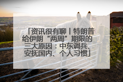 资讯很有聊丨特朗普给伊朗“两周”期限的三大原因：中东调兵、安抚国内、个人习惯