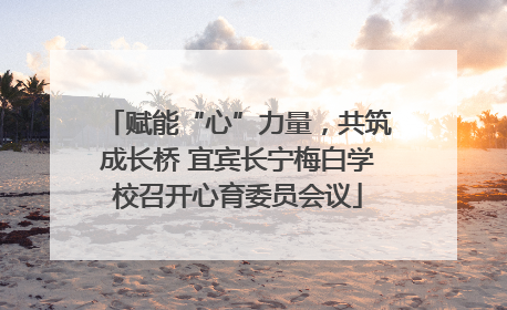 赋能“心”力量，共筑成长桥 宜宾长宁梅白学校召开心育委员会议