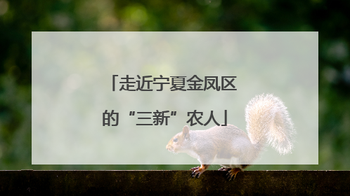 走近宁夏金凤区的“三新”农人
