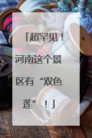 超罕见！河南这个景区有“双色莲”！