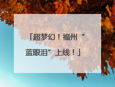 超梦幻！福州“蓝眼泪”上线！