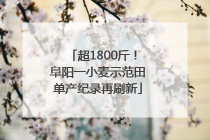 超1800斤！阜阳一小麦示范田单产纪录再刷新