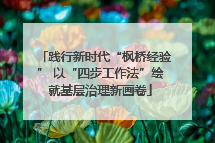 践行新时代“枫桥经验” 以“四步工作法”绘就基层治理新画卷