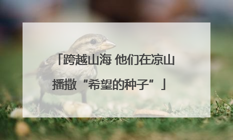 跨越山海 他们在凉山播撒“希望的种子”