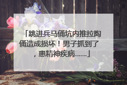 跳进兵马俑坑内推拉陶俑造成损坏！男子抓到了，患精神疾病……