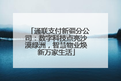 通联支付新疆分公司：数字科技点亮沙漠绿洲，智慧物业焕新万家生活