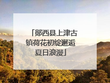 郧西县上津古镇荷花初绽邂逅夏日浪漫