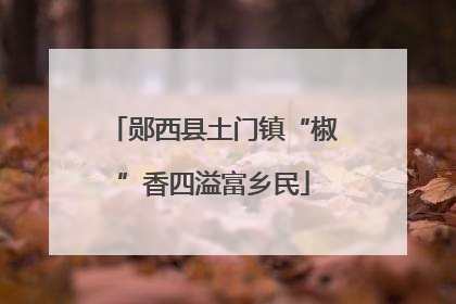 郧西县土门镇“椒”香四溢富乡民