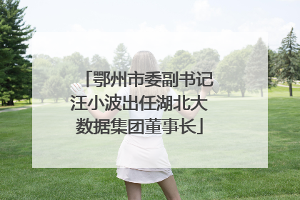 鄂州市委副书记汪小波出任湖北大数据集团董事长