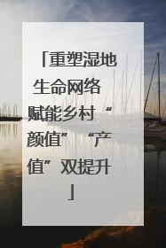 重塑湿地生命网络 赋能乡村“颜值”“产值”双提升