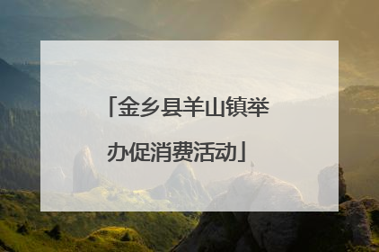 金乡县羊山镇举办促消费活动