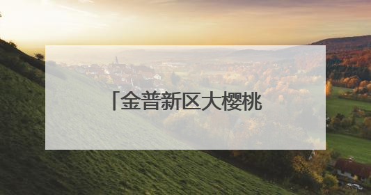 金普新区大樱桃自由尝享季启幕
