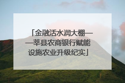 金融活水润大棚——莘县农商银行赋能设施农业升级纪实