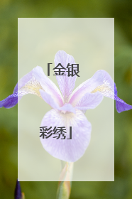 金银彩绣
