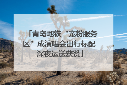 青岛地铁“宠粉服务区”成演唱会出行标配 深夜运送获赞