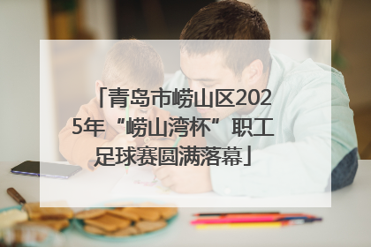 青岛市崂山区2025年“崂山湾杯”职工足球赛圆满落幕