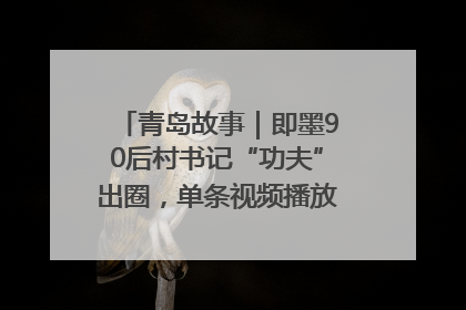 青岛故事｜即墨90后村书记“功夫”出圈，单条视频播放量过600万